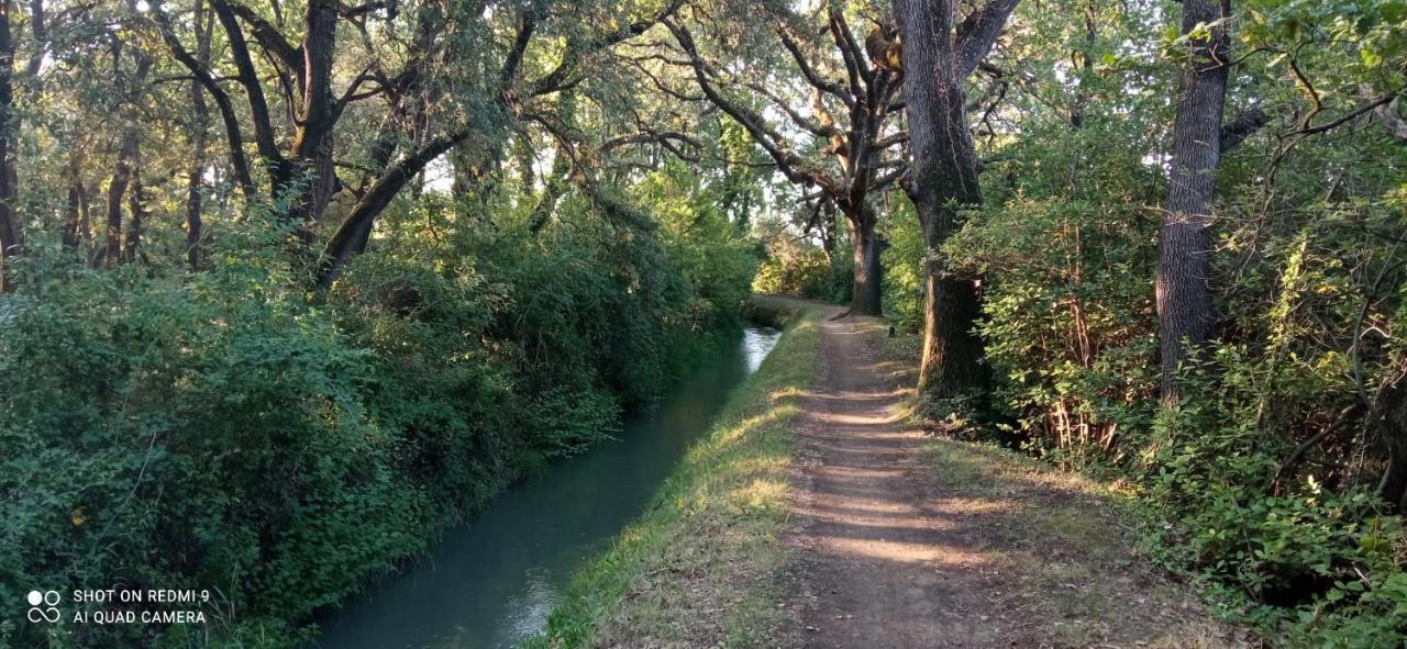 Willa Sous Les Chenes, En Provence Eyragues Zewnętrze zdjęcie
